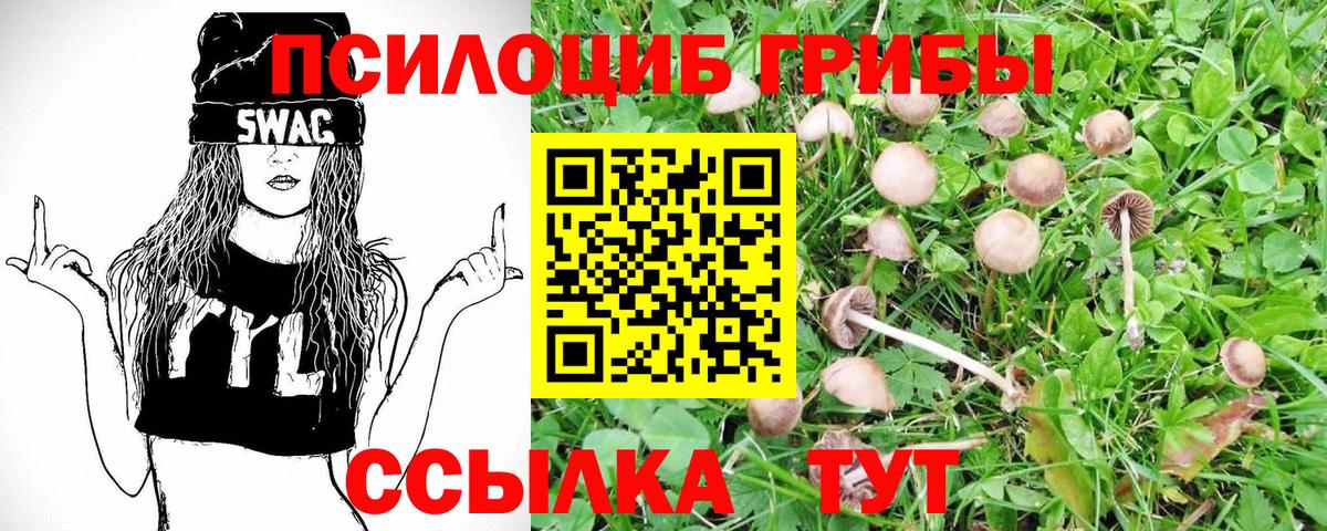 Галлюциногенные грибы ЛСД  Галлюциногенные грибы MAGIC MUSHROOMS  Вход с VPN  Сыктывкар 