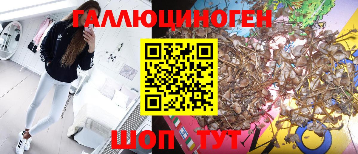 МЕФ Сыктывкар
