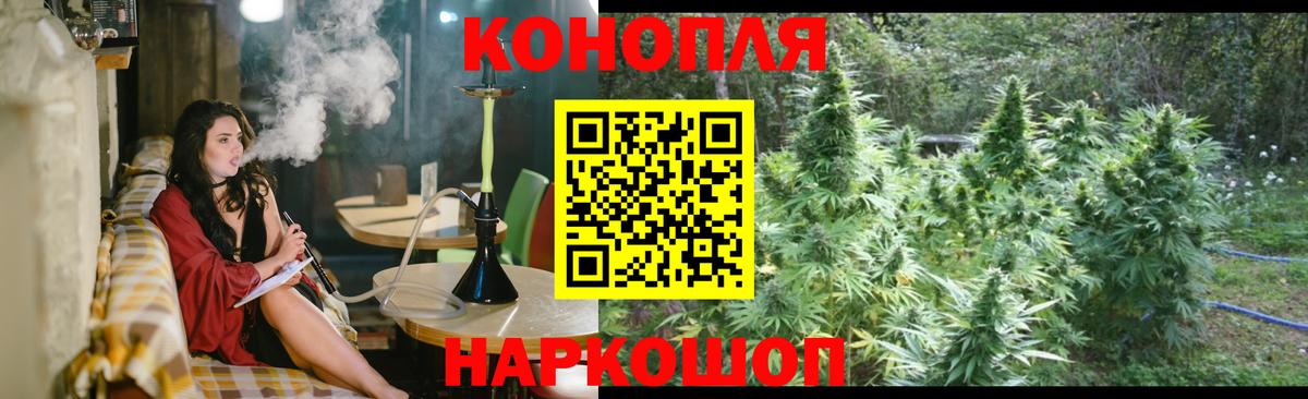 Бошки Шишки Bruce Banner Сыктывкар